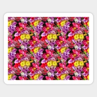 colorful game of flowers, flowers of many colors Sticker